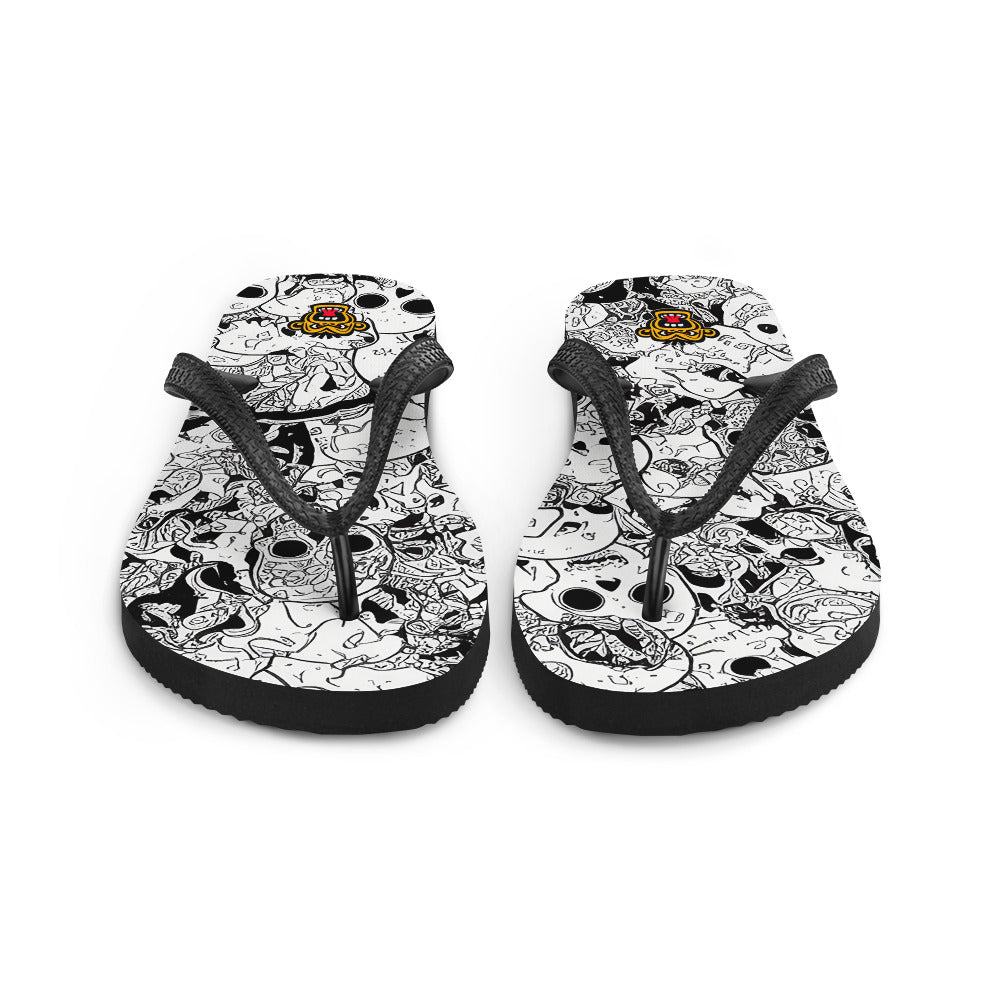 Flip-Flops 23082024n1