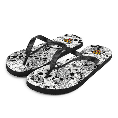 Flip-Flops 23082024n1