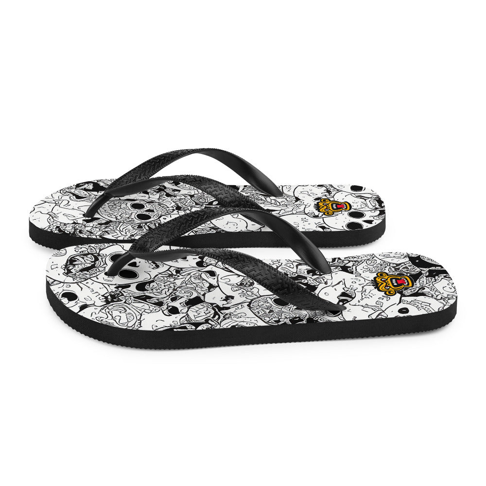 Flip-Flops 23082024n1