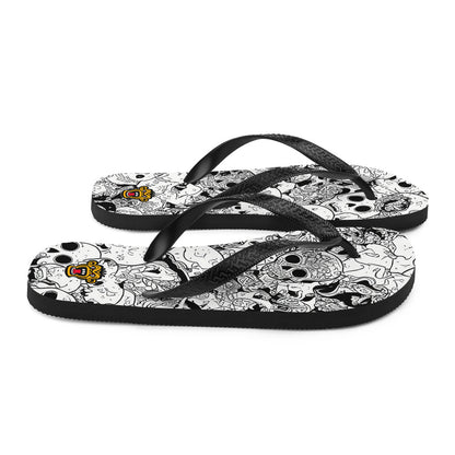 Flip-Flops 23082024n1