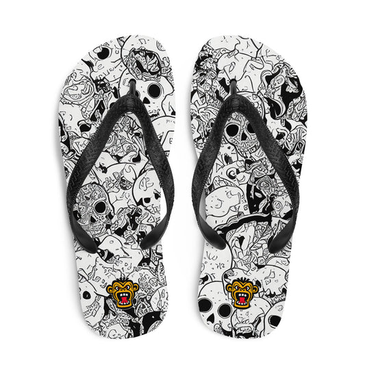 Flip-Flops 23082024n1